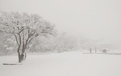 제주 산지 대설특보 1100도로 통제