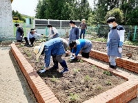 서귀포온성학교 원예치료 텃밭 가꾸기