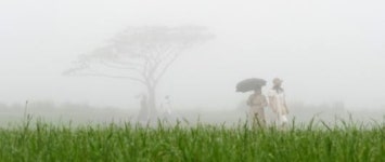 짙은 안개 속의 산책