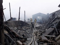 제주 낙농단지 화재 송아지 6마리 폐사