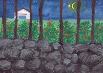 [이 책] 강영란의 귤밭을 건너온 사계