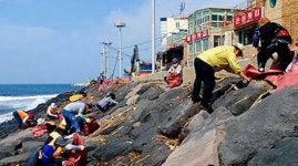 용담1동 동한두기 일대 긴급 피해복구