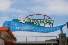 지역주민 눈 밖에 난 세화민속오일시장 어쩌나
