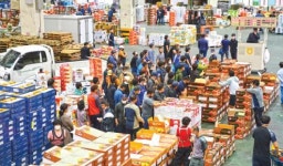 농산물공판장 과일 경매