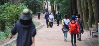 산책 인기명소 한라수목원