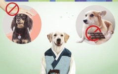 [Hi Pet] 추석연휴 반려동물 돌봄, 이것 기억하세요”