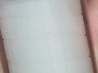 서귀동·보목동 가정집서 연 이틀 수돗물 유충 신고