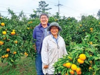 [2020 제주愛 빠지다] (5)호근동 이성호·김영란 부부