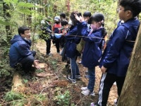 [제주도교육청·한라일보가 함께하는 한라산 숲학교] (4)태흥초등학교
