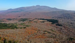 [2020 제주섬 글로벌 에코투어] (12)제2광령교~무수천변~한라대 마로길~광령천변~노로오름~천아숲길~18림반
