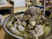 [당찬 맛집을 찾아서] (210)제주시 노형동 ‘황금토종닭’