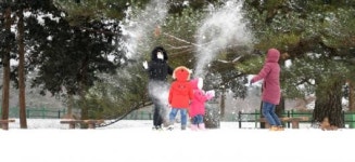 눈 쌓인 제주마방목지와 관광객