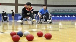 제주장애인연맹 보치아 무료 교육