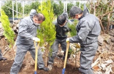 농협·서귀포축협 방취림 조성 사업