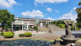 덕명항아리조경민속꽃 | '제주야생화' 제주도민속자연사박물관 사진전