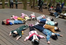 사려니숲 유아숲놀이터 성황리 운영