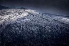 온라인 밴드 사진공감 서귀포서 오프라인 회원전