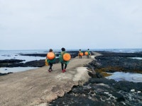 [이 책] 송일만의 어머니의 루이비통