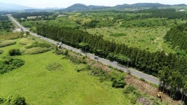 제2공항 이어 이제는 비자림로 확장 철회하라