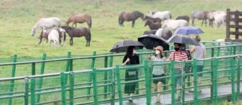 비 내리는 날의 제주 풍경