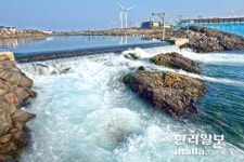 제주 어류양식장 소수력발전 인기 예감