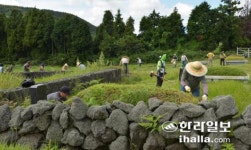 제주 벌초철 앞두고 4단계 격상 집합금지 어쩌나