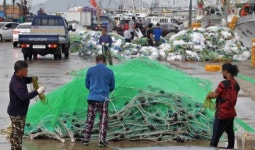 출어 준비하는 부두