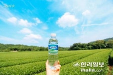 (주)제주삼다수흑돼지유통 | 제주 삼다수 도외 유통 판권 경쟁 '4파전' 승자는