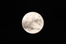 추석 연휴 밥상머리 화두 선거와 코로나 19