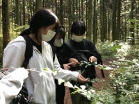 [제주도교육청·한라일보가 함께하는 숲길체험 프로그램] (7)세화중학교