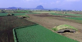 꽉 막힌 알뜨르비행장 무상 사용 협의 숨통 트일까