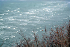 비경으로 다시 태어난...태안 바람 길을 걷다