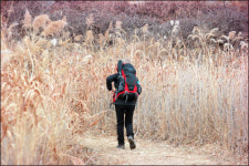 대청호 4코스 가다...전통 양조산업과 예술의 접목이 정겹다