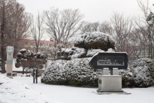 복자여자고등학교 화보