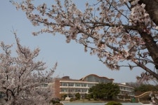 북일여자고등학교 화보