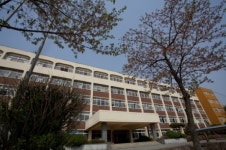 장성고등학교 화보