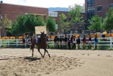 한국경마축산고등학교 화보