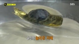 대구 5대 만두집<어랑 전통 생 손만두> 만두피의 비밀공개, 생활의 달인