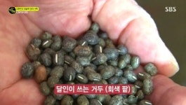 대한민국 찹쌀떡의 양대산맥 충북 제천의  그 비결은 거두? 생활의 달인