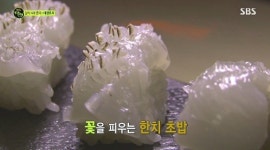 [대한민국 일식 4대문파] 태평로파 임홍식 달인의 접시위에 핀 꽃 타타키 초밥