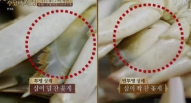 속이 꽉찬 꽃게의 본연의 맛 그대로를 품은 곳 마장동의 <목포 산꽃게 아구찜 탕>.수요미식회