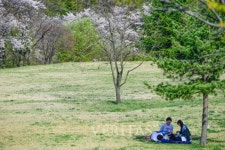 [포토] 포스텍 학생들, 폭풍의 언덕 나무 아래 휴식