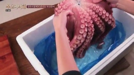 수요미식회:문어 영주시장 문어, 신사동 산호, 역삼동 고래불