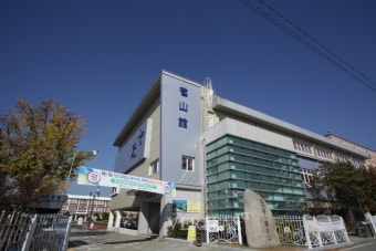 2017 서울대 진학률 톱100.. 서울과고 대전과고 경기과고 톱3