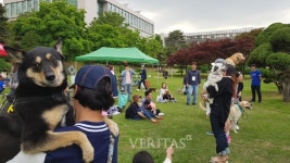 [포토] 건국대 축제, 애견 한마당