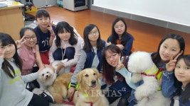 원광대 동물매개심리치료학과, 동물매개교육 컨설팅