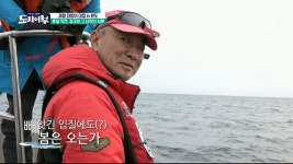 나만 믿고 따라와 도시어부 마닷, 대형 방어 낚아.. 자체 최고 시청률 4.9%