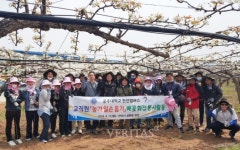 공주대 천안캠퍼스 교직원, 배꽃 인공수분 봉사활동