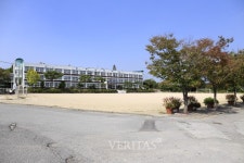 [2020고입잣대] 2019 전남 일반고 진학률.. 능주 목포정명여 완도 톱3