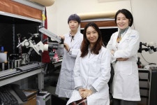 KAIST, 두뇌 인지 기능 조절하는 신경 펩타이드 발견
